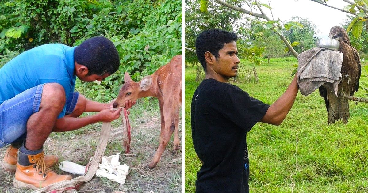 Un Indien a travaillé sans relâche pendant 12 ans pour sauver plus de 5 000 animaux Un Indien a travaillé sans relâche pendant 12 ans pour sauver plus de 5 000 animaux