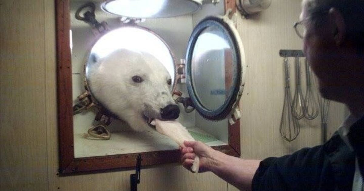 15 Internautes nous ont montré comment rendre l’effet de surprise encore plus drôle