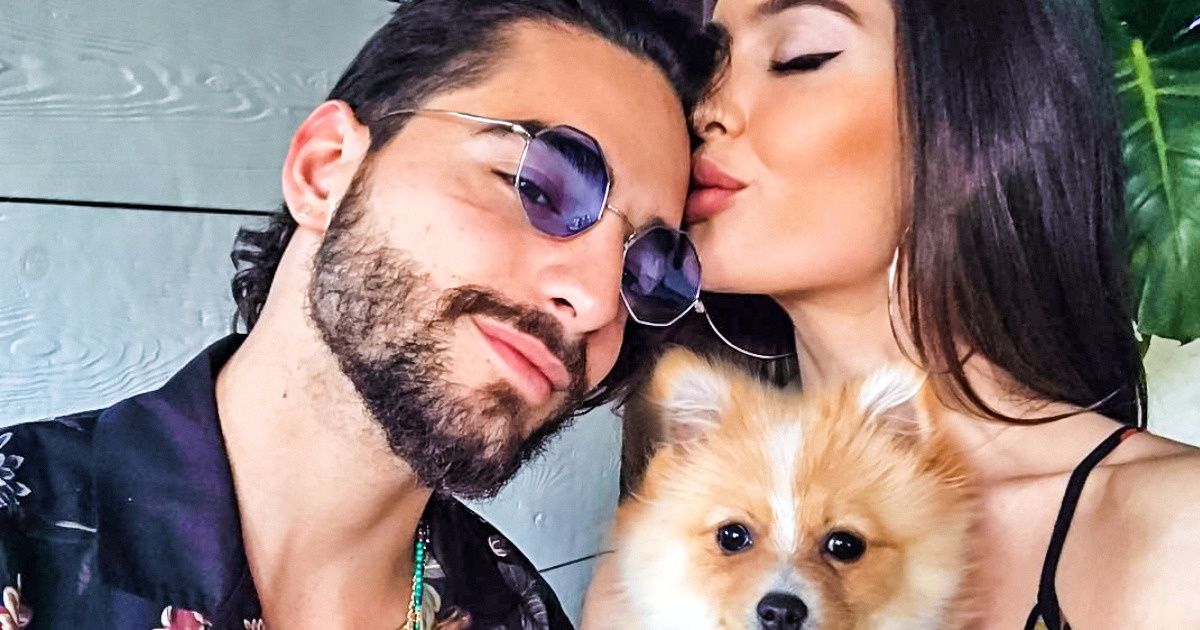 13 Célébrités qui ne se séparent jamais de leurs animaux
