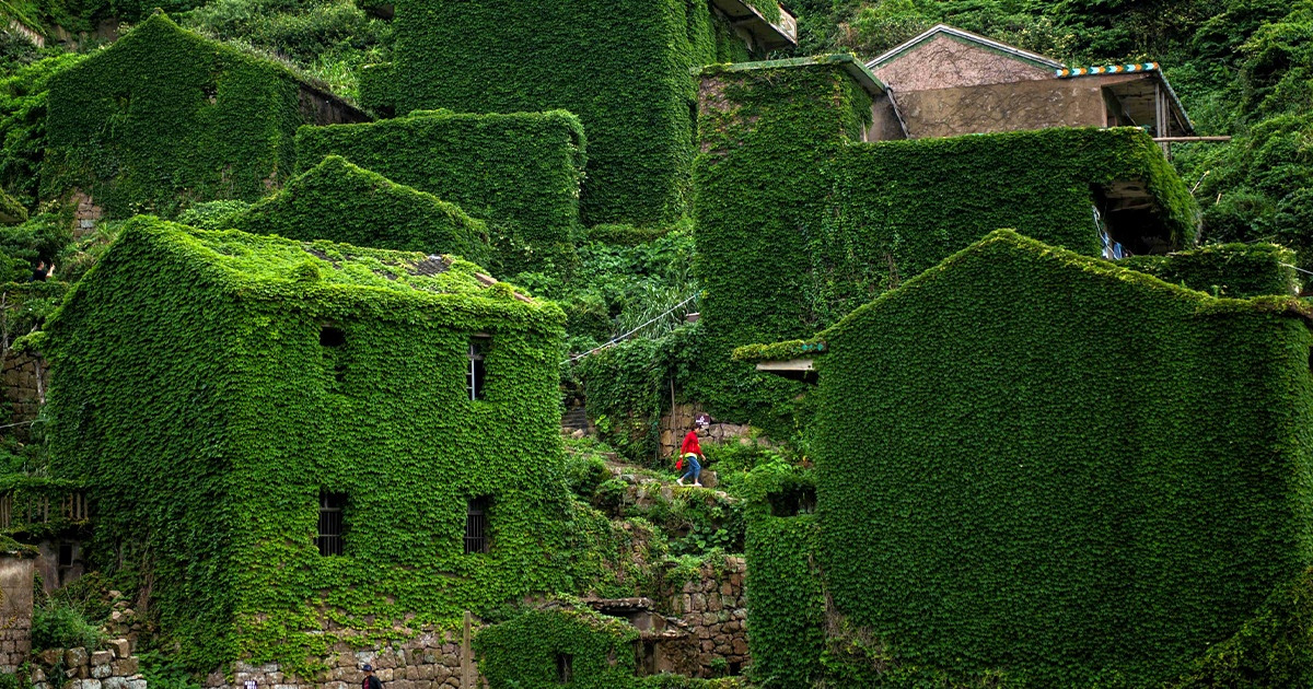 12 Lieux et objets qui ont été abandonnés par l’homme et qui se sont transformés
