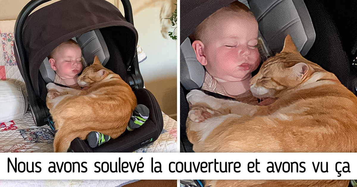 15 Photos qui nous rappellent que le monde est plein de douceur