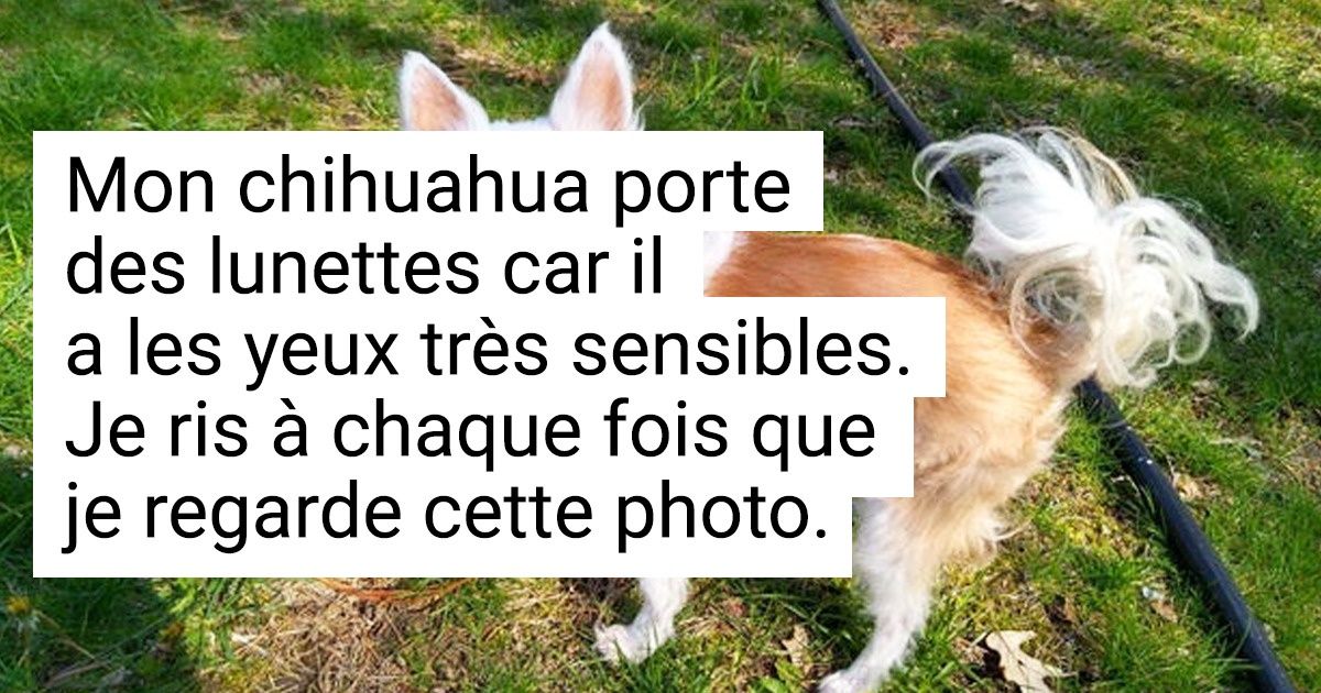 18 Moments agréables que les internautes ont vécus ce mois-ci, et qu’ils ont souhaité partager