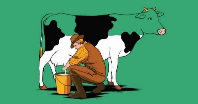 17 illustrations bien trompeuses