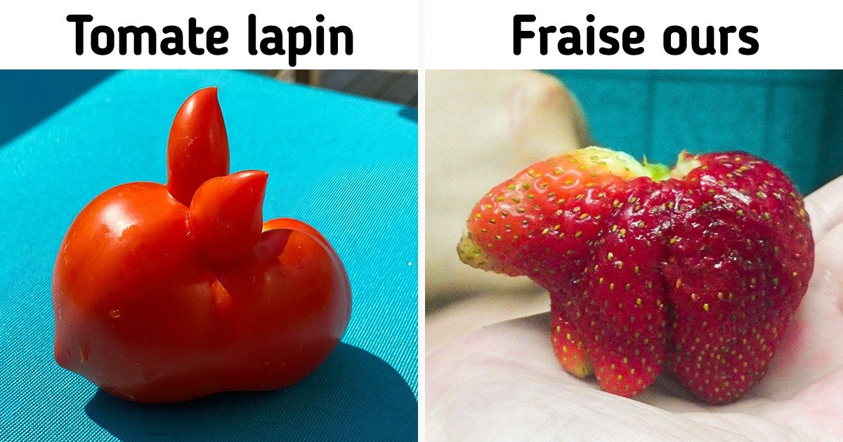 20 Fois où des fruits et légumes ont révélé leur véritable essence