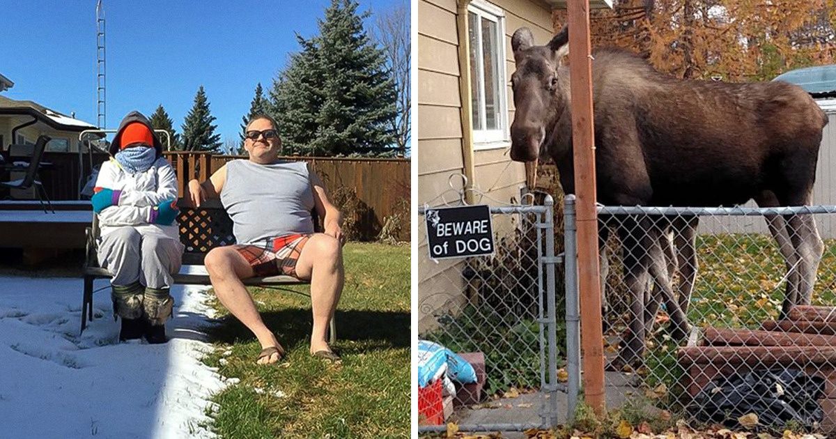20+ Photos qui prouvent que le Canada est un pays unique 20+ Photos qui prouvent que le Canada est un pays unique
