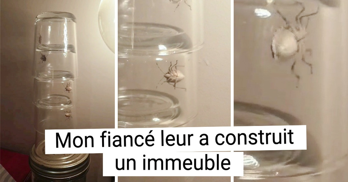 Une journée dans la vie d’un auteur chez Sympa Une journée dans la vie d’un auteur chez Sympa