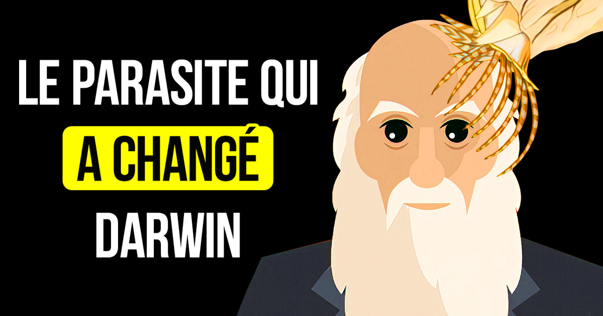 La Créature Que Darwin Détestait le Plus l’a Rendu Célèbre La Créature Que Darwin Détestait le Plus l’a Rendu Célèbre