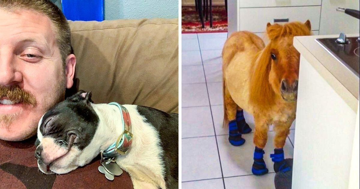 20 Photos si tendres qu’elles te feront craquer