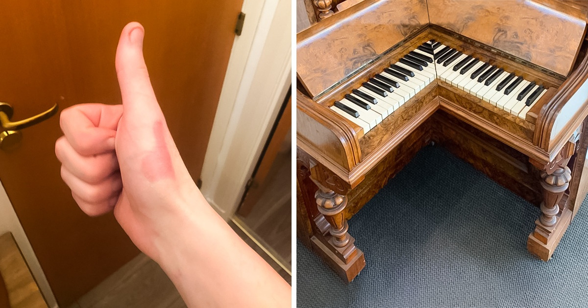 20 Clichés qui montrent qu’il est possible de trouver les choses les plus bizarres aux endroits les plus inouïs