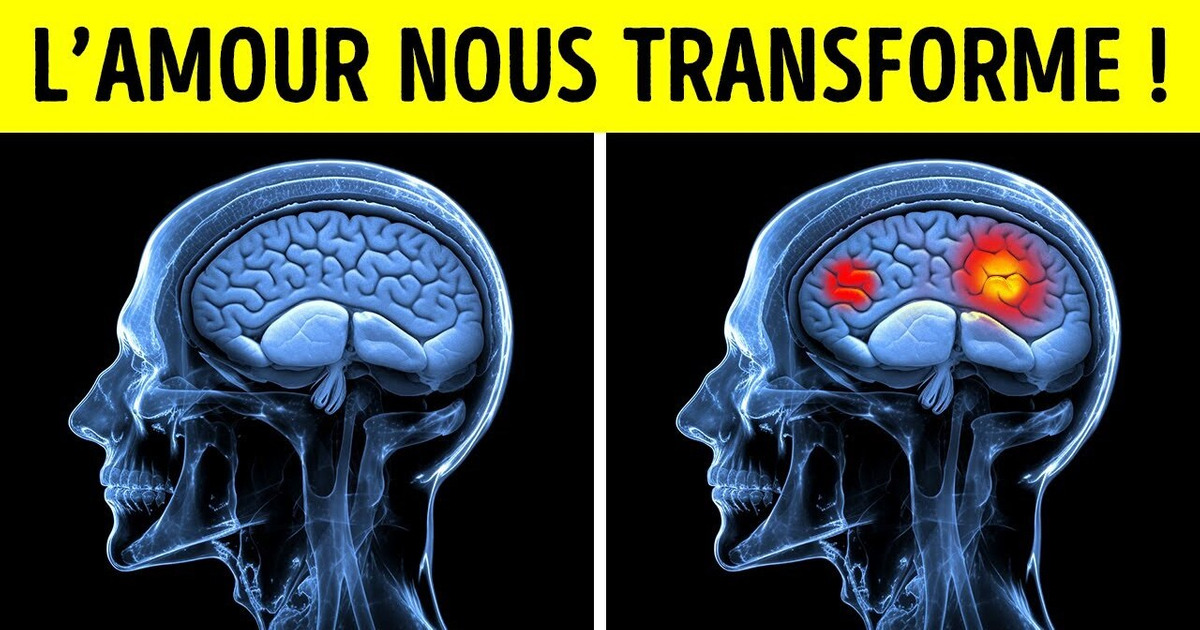 L’Hormone de l’Amour : Ce qui Nous Fait Tomber Amoureux