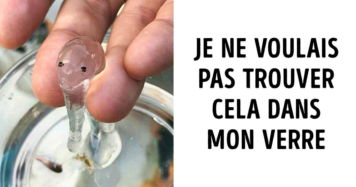 15 Créations de la nature qui étaient sûrement prévues pour une autre planète 15 Créations de la nature qui étaient sûrement prévues pour une autre planète