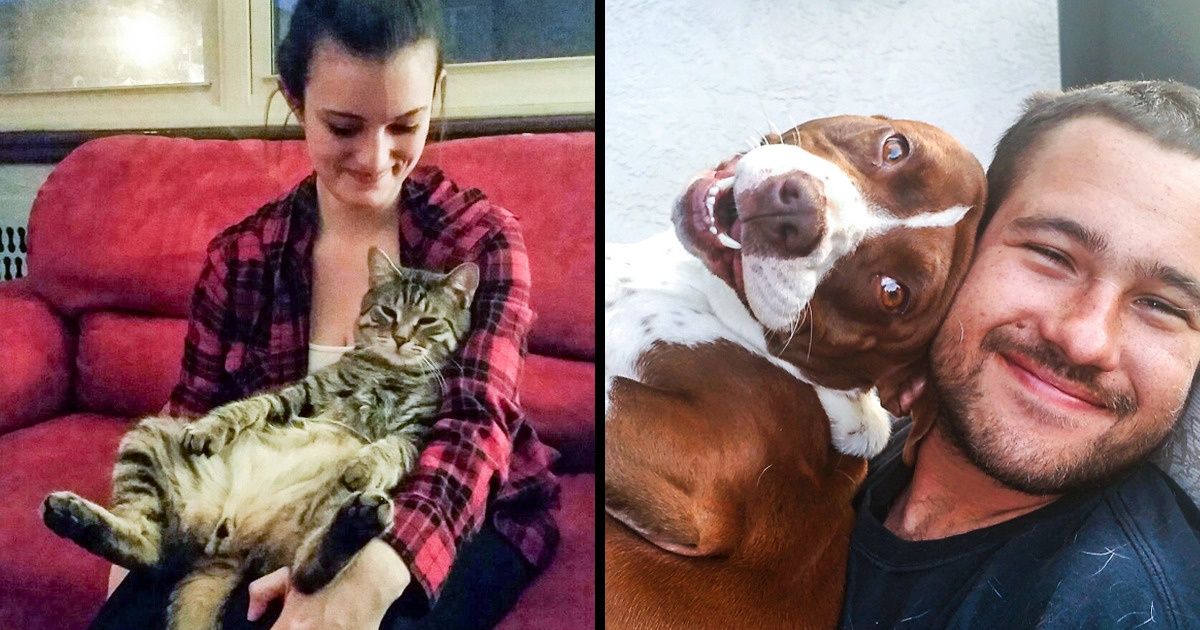 Une étude a expliqué pourquoi caresser des chiens et des chats réduit le stress Une étude a expliqué pourquoi caresser des chiens et des chats réduit le stress