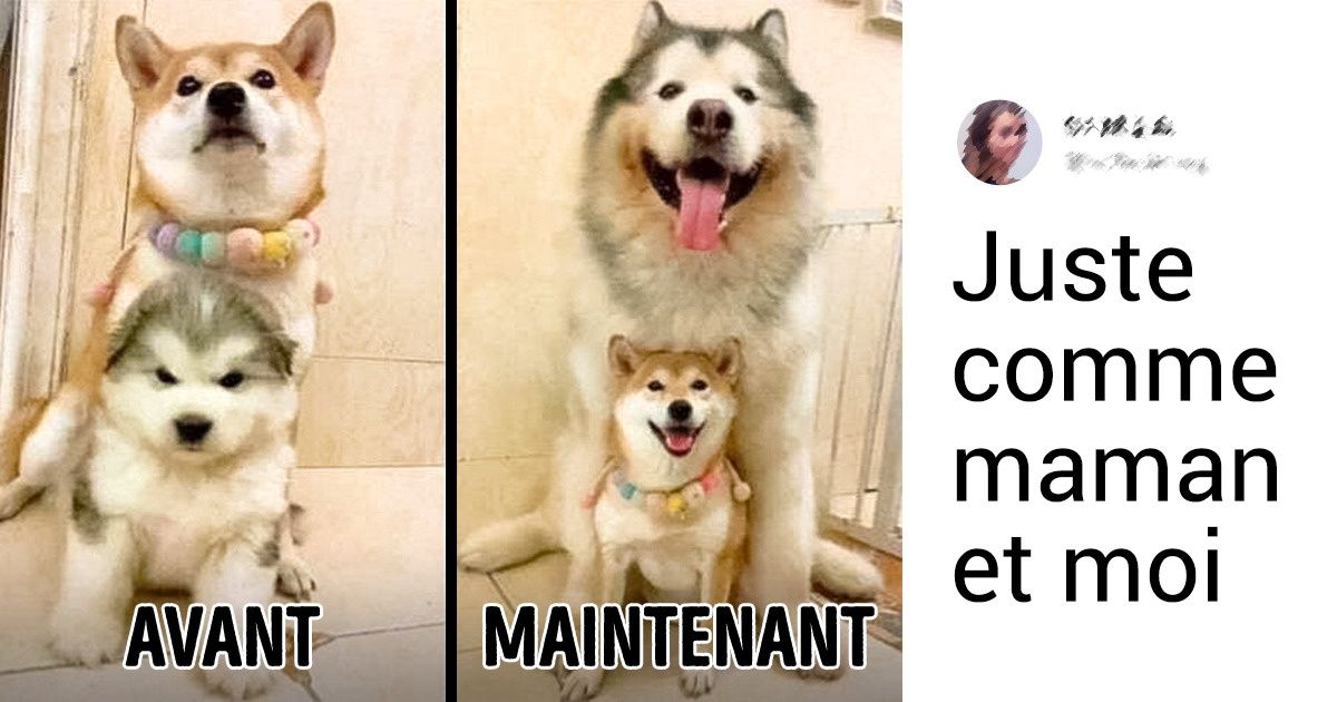 20 Photos qui nous montrent à quel point le temps peut tout changer, à l’exception de l’Amour véritable
