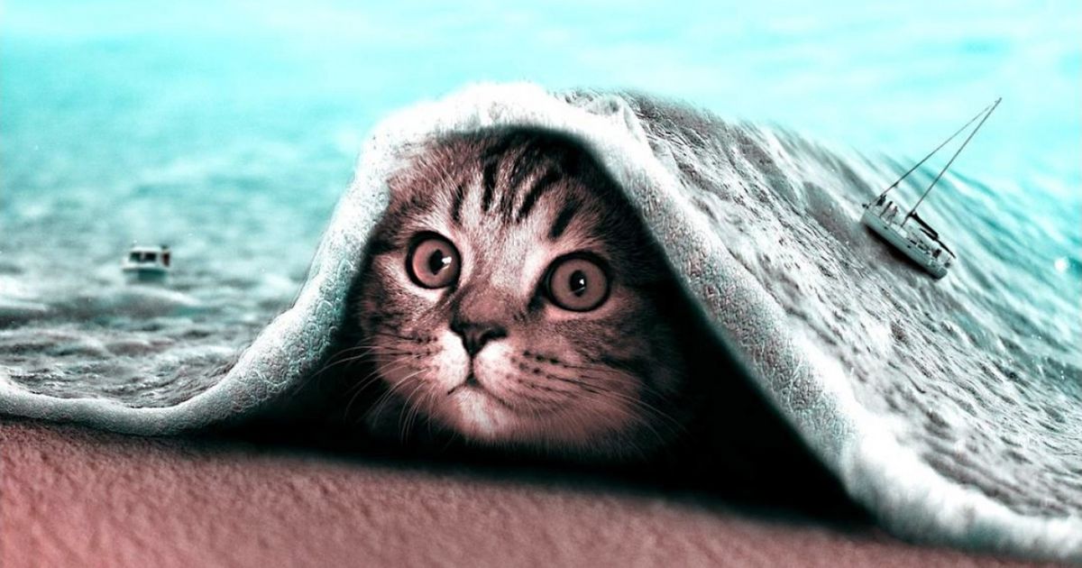 Un jeune artiste français a créé une réalité parallèle qui contient un message pour tous