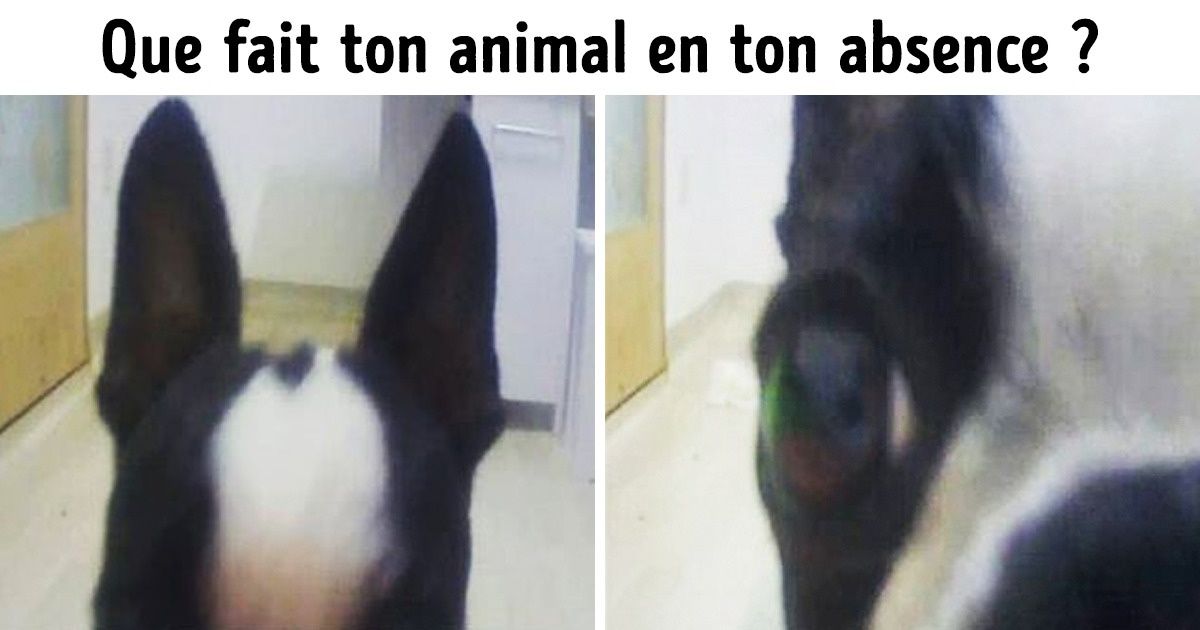 12 raisons de ne pas jeter ton vieux téléphone, afin de l’utiliser d’une autre manière ! 12 raisons de ne pas jeter ton vieux téléphone, afin de l’utiliser d’une autre manière !