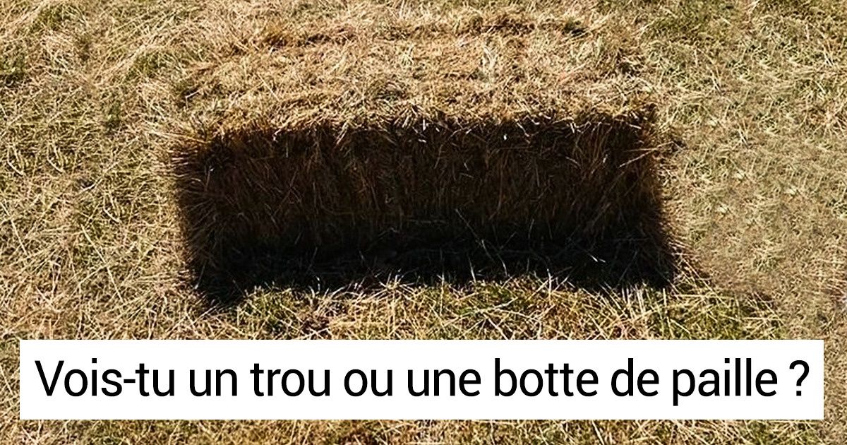 20+ Photos qui ont été mieux réussies que prévu