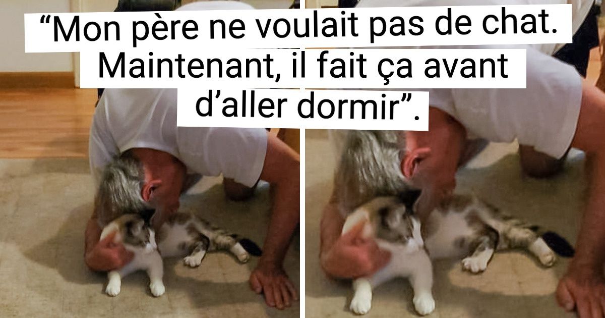 20+ Personnes qui avaient une très longue liste d’excuses pour ne pas adopter d’animal et qui ne peuvent plus s’en séparer à présent