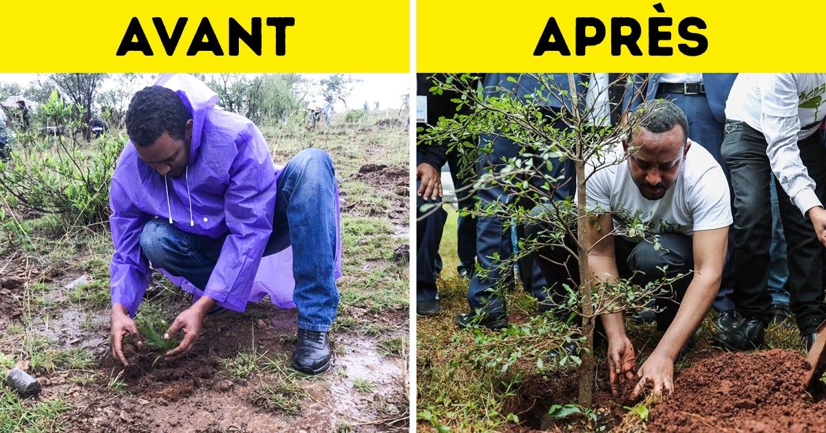 En Éthiopie, ils luttent contre la déforestation en plantant 350 millions d’arbres et incitent l’ensemble du pays à se joindre à la campagne En Éthiopie, ils luttent contre la déforestation en plantant 350 millions d’arbres et incitent l’ensemble du pays à se joindre à la campagne