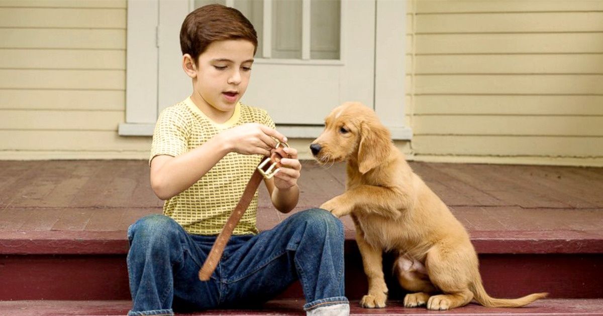 Les scientifiques assurent que les enfants qui grandissent avec des animaux de compagnie sont plus sensibles et ressentent moins de stress Les scientifiques assurent que les enfants qui grandissent avec des animaux de compagnie sont plus sensibles et ressentent moins de stress