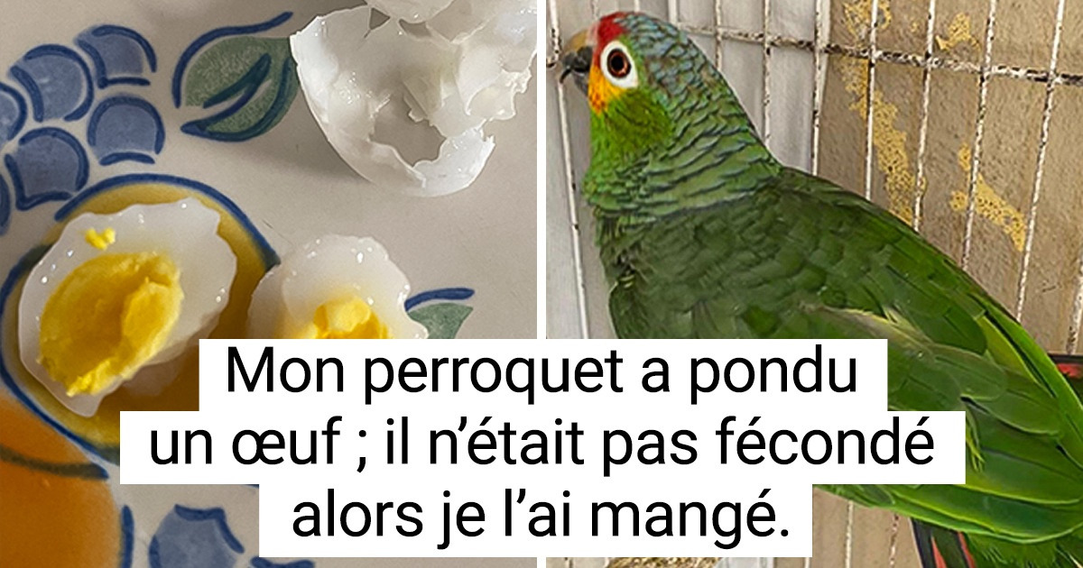 16 Personnes qui ont eu la chance de voir la face cachée des choses