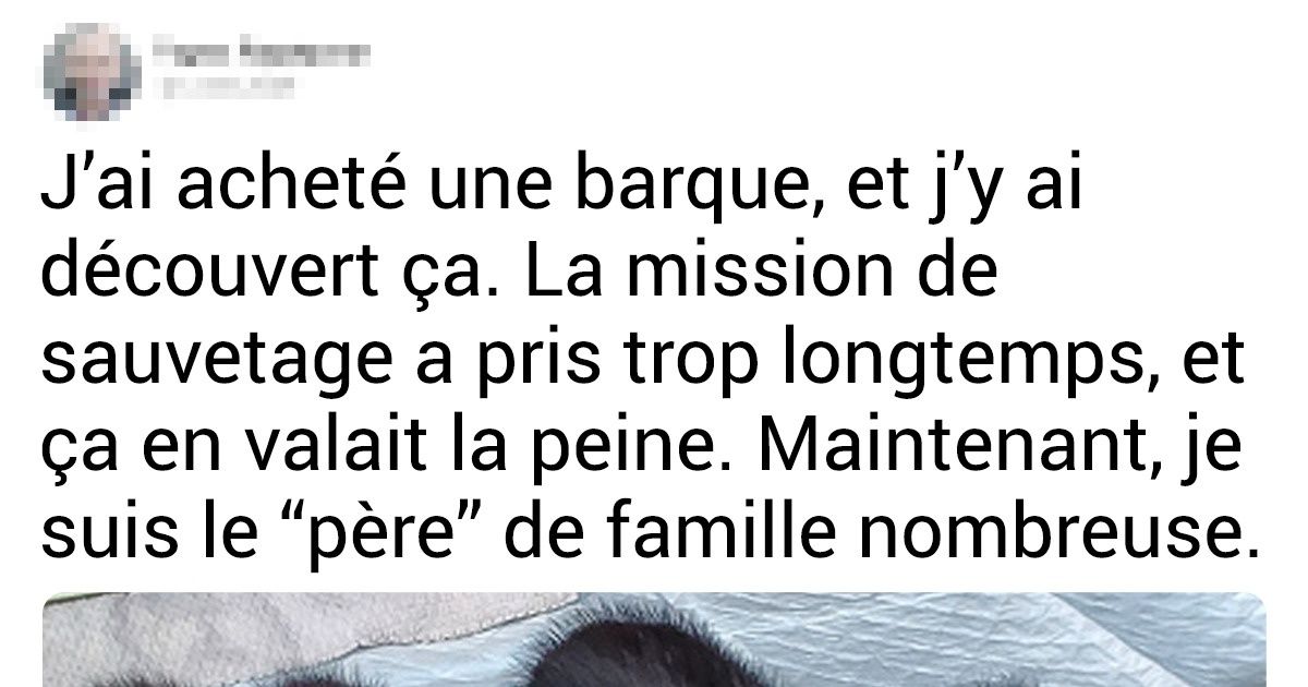 16 Personnes qui sont juste sorties de la maison et qui ont soudainement eu une rencontre épique