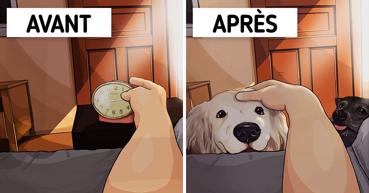 Un artiste taïwanais illustre à quoi ressemble la vie avant et après l’adoption d’un animal de compagnie