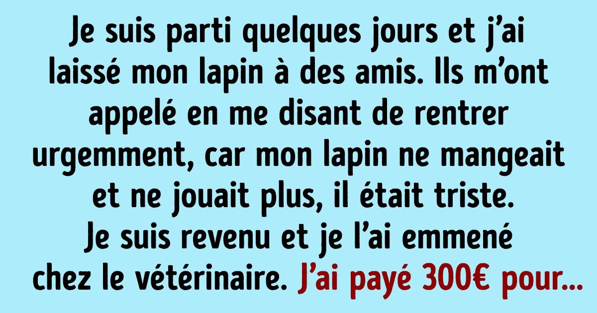 20 Animaux de compagnie qui ont su impressionner leurs maîtres avec leur ingéniosité 20 Animaux de compagnie qui ont su impressionner leurs maîtres avec leur ingéniosité