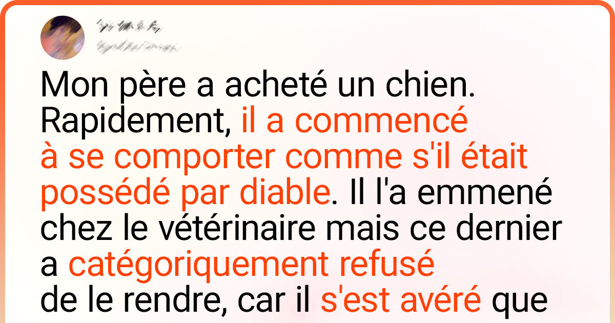 20 Tweets sur des personnes qui ont soudainement réalisé que toute leur vie était une blague