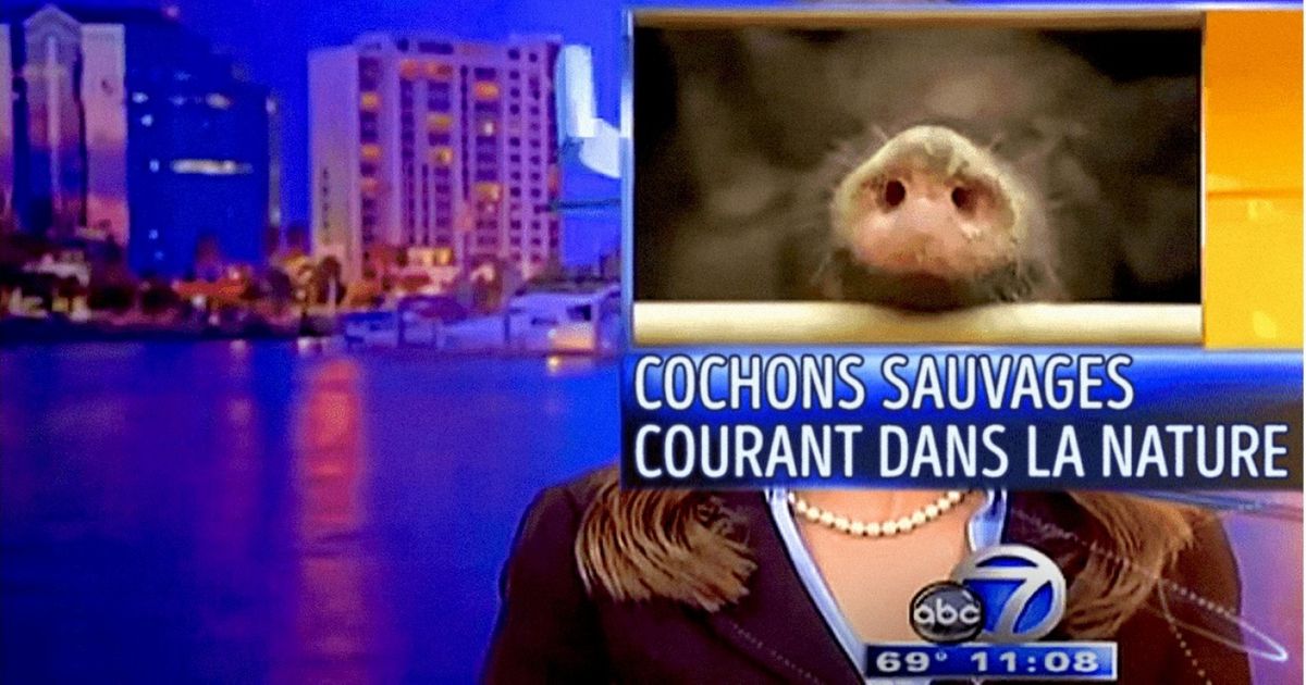 Quand les journaux télévisés rencontrent des problèmes techniques, nous, ça nous fait bien rire