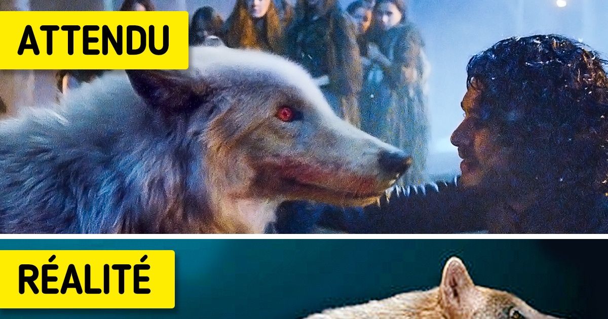 7 Créatures fantastiques qui se sont révélées réelles
