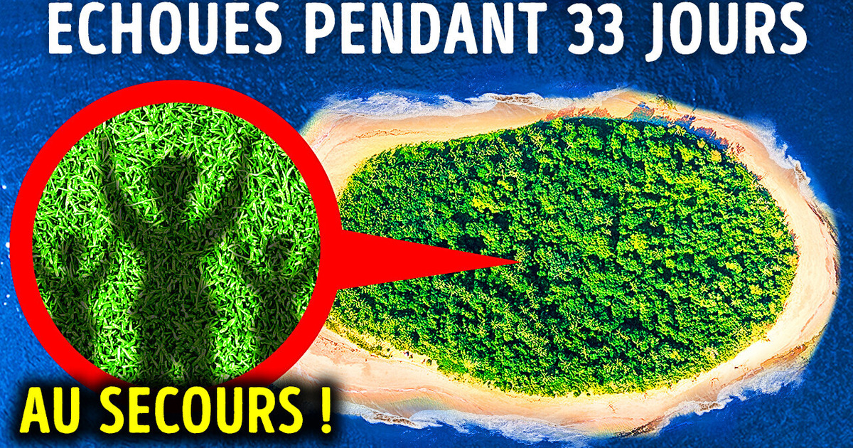 3 Naufragés Ont Survécu Plus D’un Mois Grâce À Une Super Astuce 3 Naufragés Ont Survécu Plus D’un Mois Grâce À Une Super Astuce