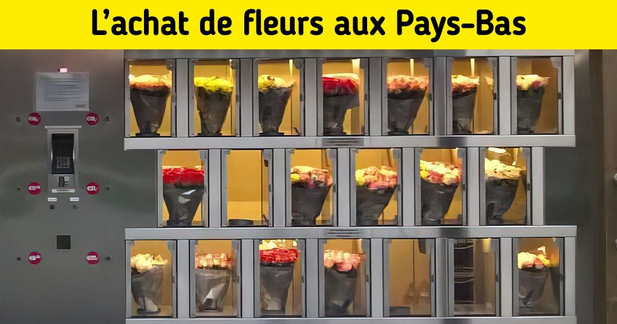 25 Сhoses qui nous étonnent aux Pays-Bas, alors que les locaux y sont habitués