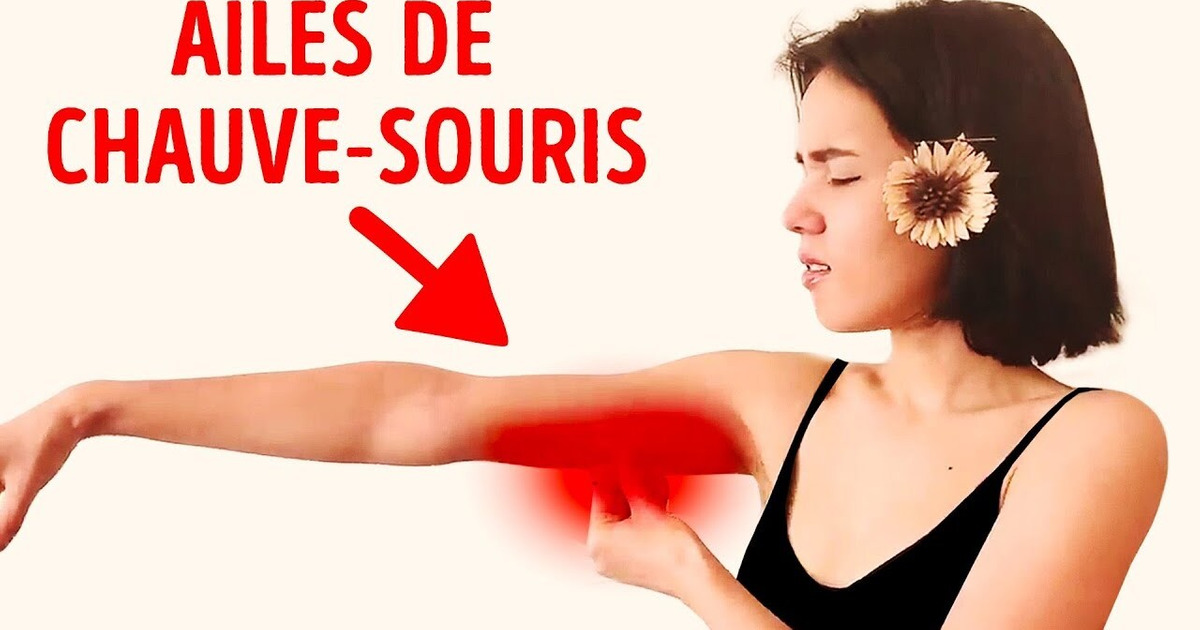 8 Exercices Brûle-Graisses Pour Les Femmes Qui Veulent Des Bras Minces Rapidement 8 Exercices Brûle-Graisses Pour Les Femmes Qui Veulent Des Bras Minces Rapidement