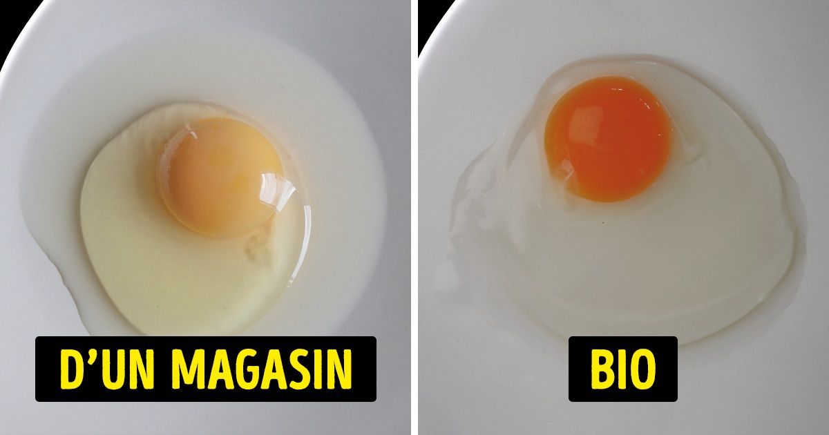 11 Moyens de vérifier la qualité de tes aliments