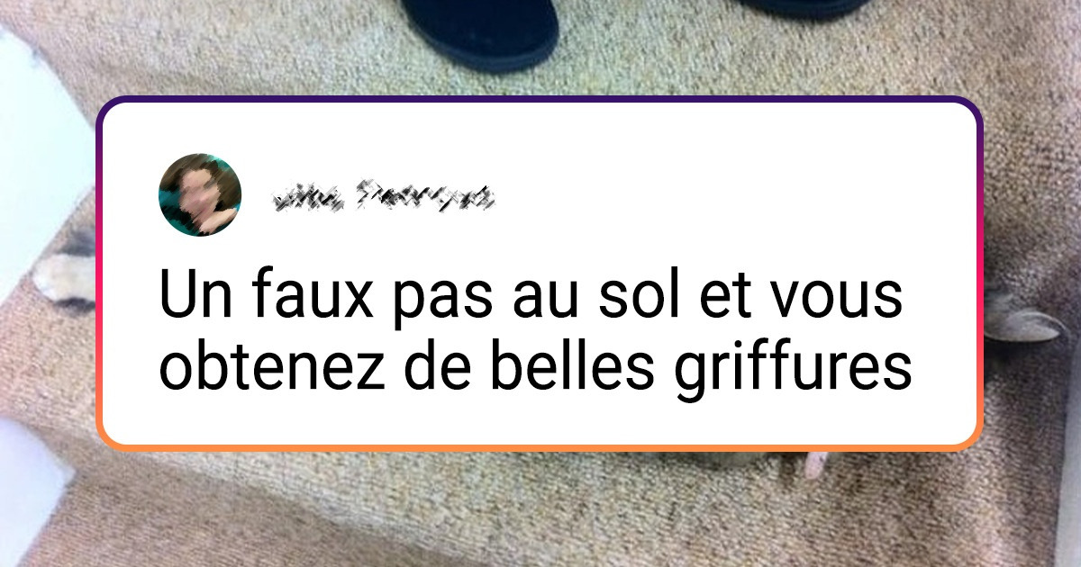 20+ Photos qui prouvent que tout peut devenir amusant avec des animaux