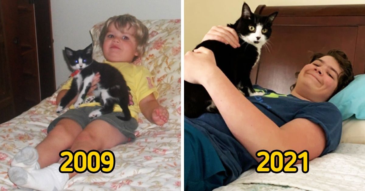 17 Internautes ont recréé les meilleures photos de leur passé (spoiler : certains n’ont pas changé du tout)