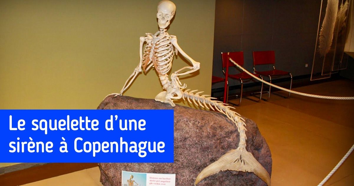 22 Pièces de musées qui n’existent qu’en un seul exemplaire