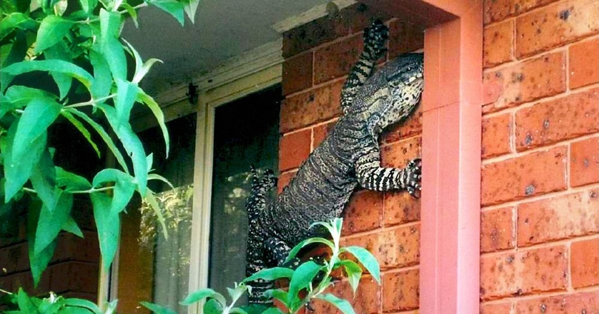 L’Australie appartient à un autre monde et ces 24 photos nous montrent pourquoi