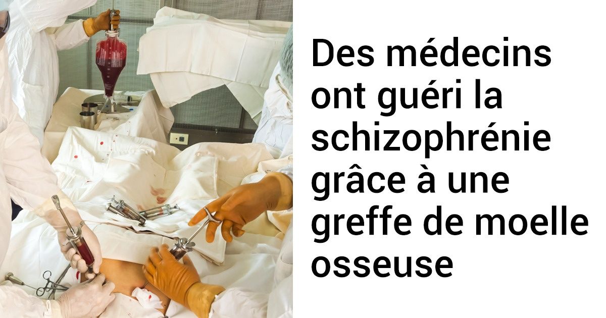 En qué consiste un trasplante de médula