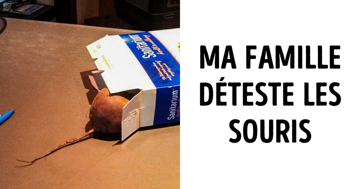 25 Familles qui adorent faire des farces 25 Familles qui adorent faire des farces