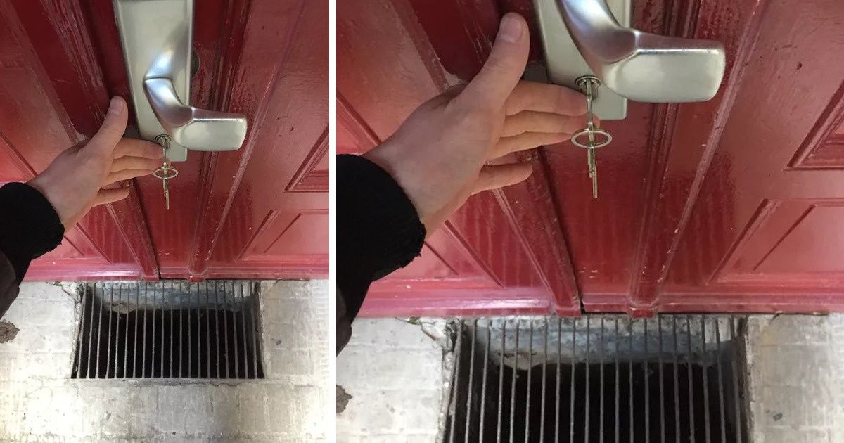 15 Photos qui peuvent nous taper sur les nerfs