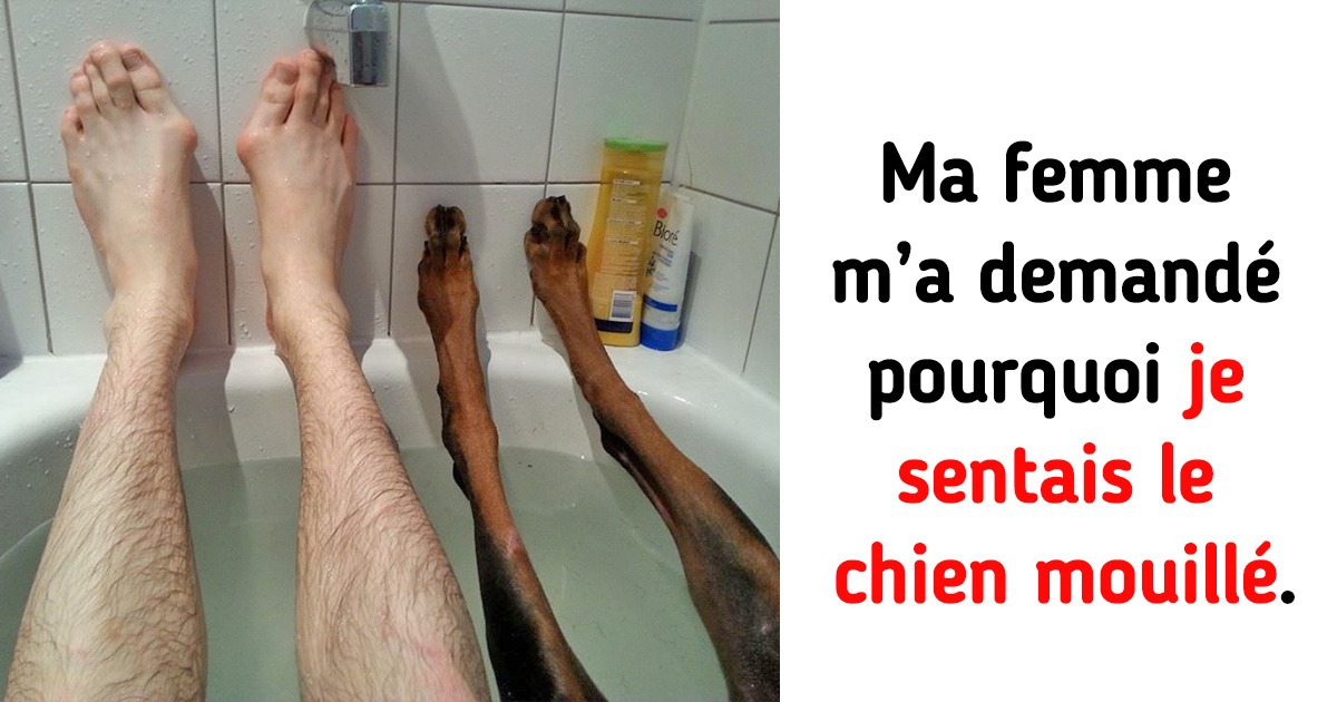 14 Personnes qui se sont retrouvées dans des situations comiques qu’elles étaient obligées de partager