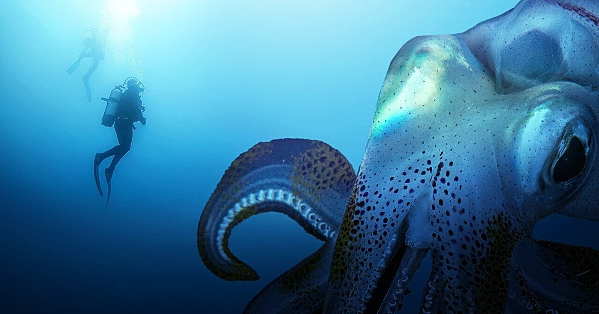 Pourquoi plus tu vas profond, plus tu vois de géants Pourquoi plus tu vas profond, plus tu vois de géants