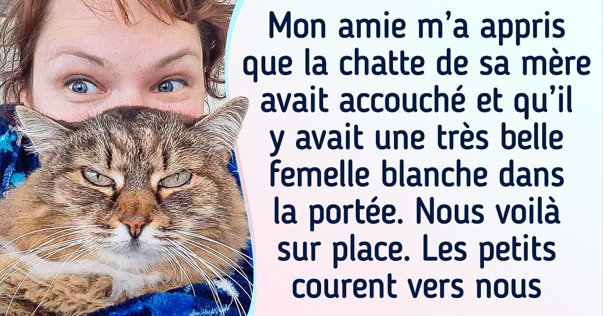 20+ Boules de poils qui ont tout à coup décidé : “Toi, tu as l’air bien, je reste avec toi”