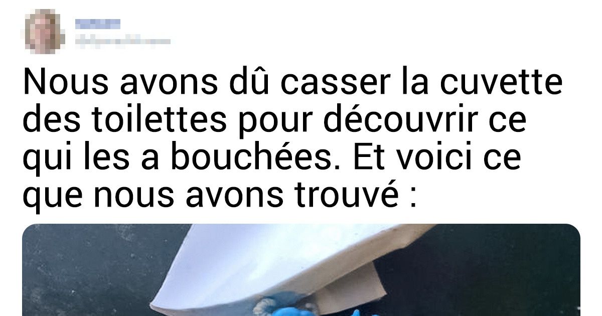 9 Petits dont les parents sont un véritable exemple de tranquillité 9 Petits dont les parents sont un véritable exemple de tranquillité