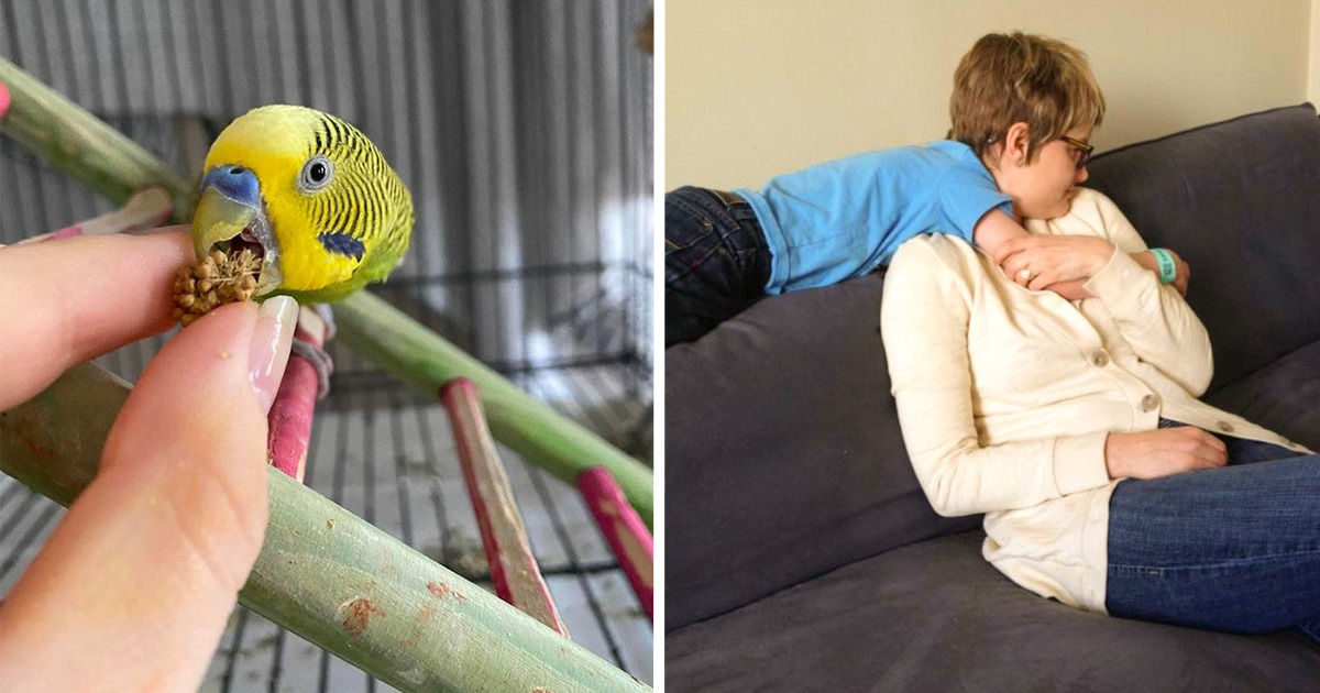 21 Photos qui vont tromper ton cerveau et te faire douter de la réalité 21 Photos qui vont tromper ton cerveau et te faire douter de la réalité