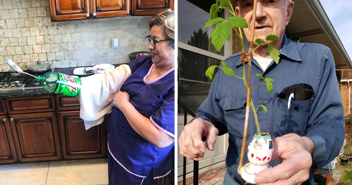 17 Grands-parents qui savent trouver la solution parfaite à n’importe quel problème