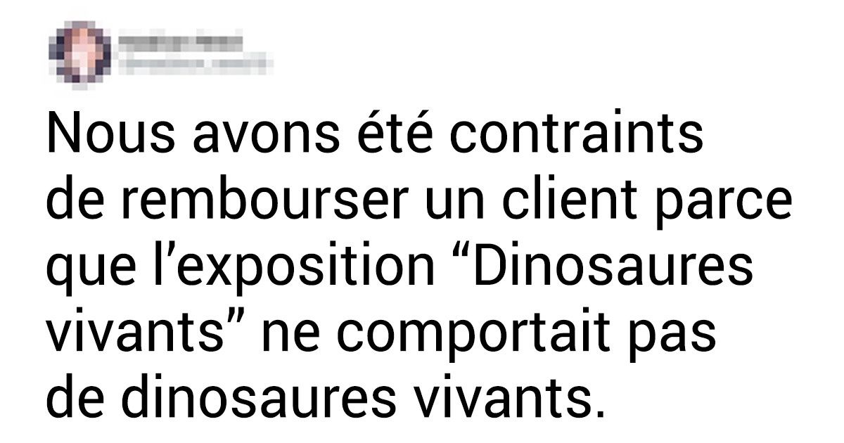 20 Employés ont partagé leurs réclamations les plus insolites
