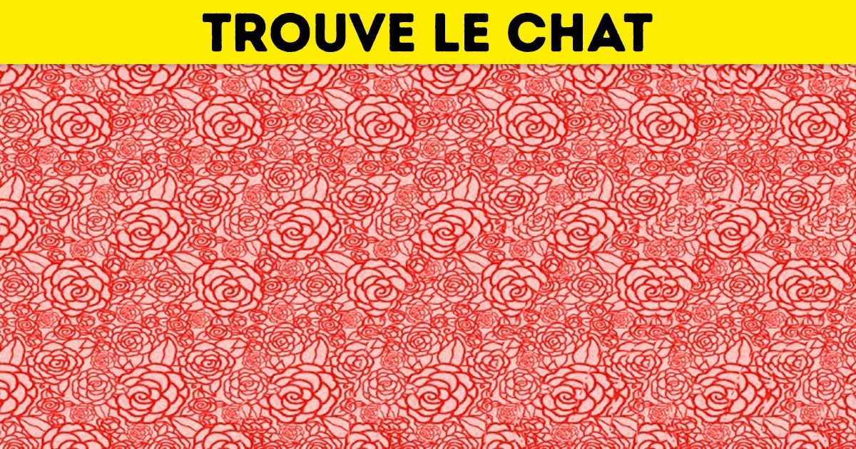 Découvre si tu es un fin observateur en cherchant les images tridimensionnelles cachées dans ces dessins