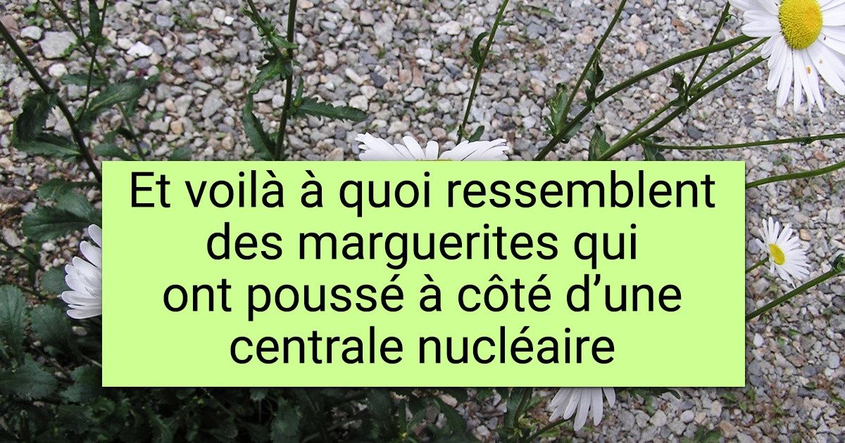 16 Personnes qui ont eu du mal à en croire leurs yeux
